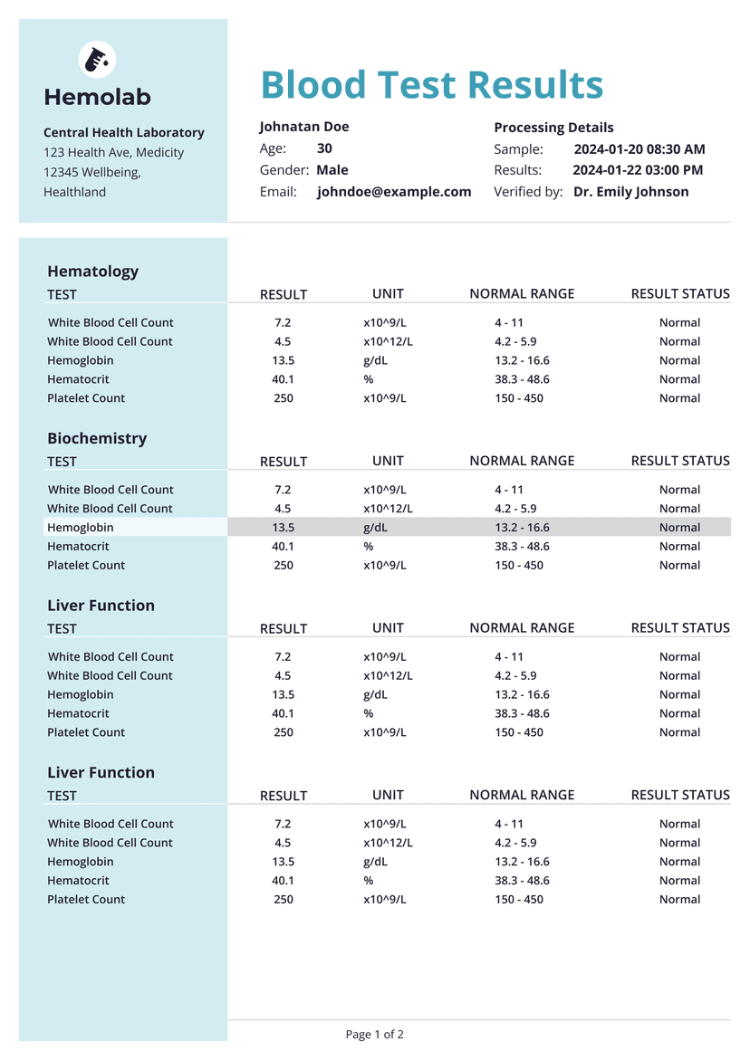 Invoice version 1
