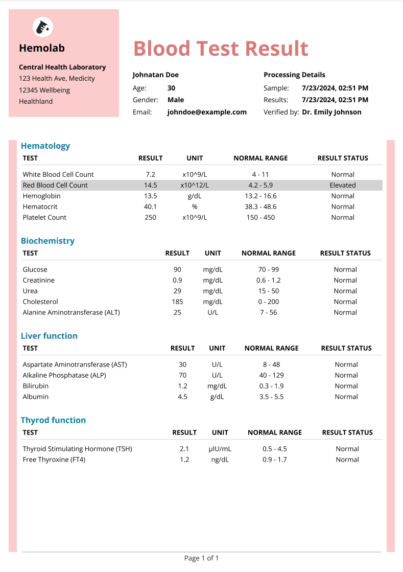 Invoice version 1