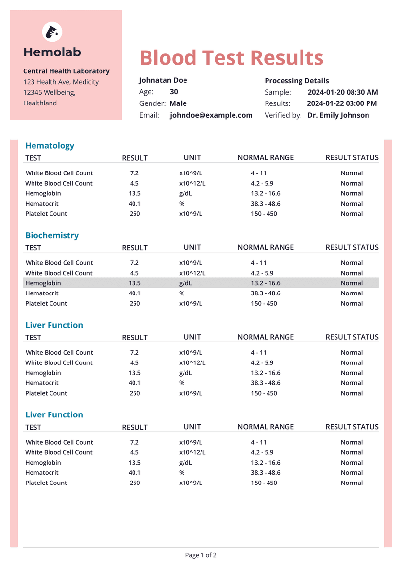 Invoice version 1