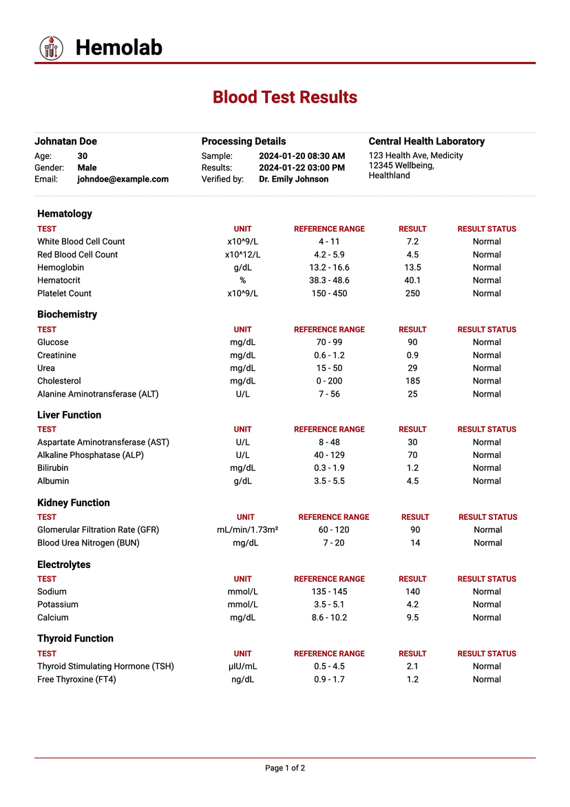 Invoice version 1