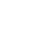 Turtle icon