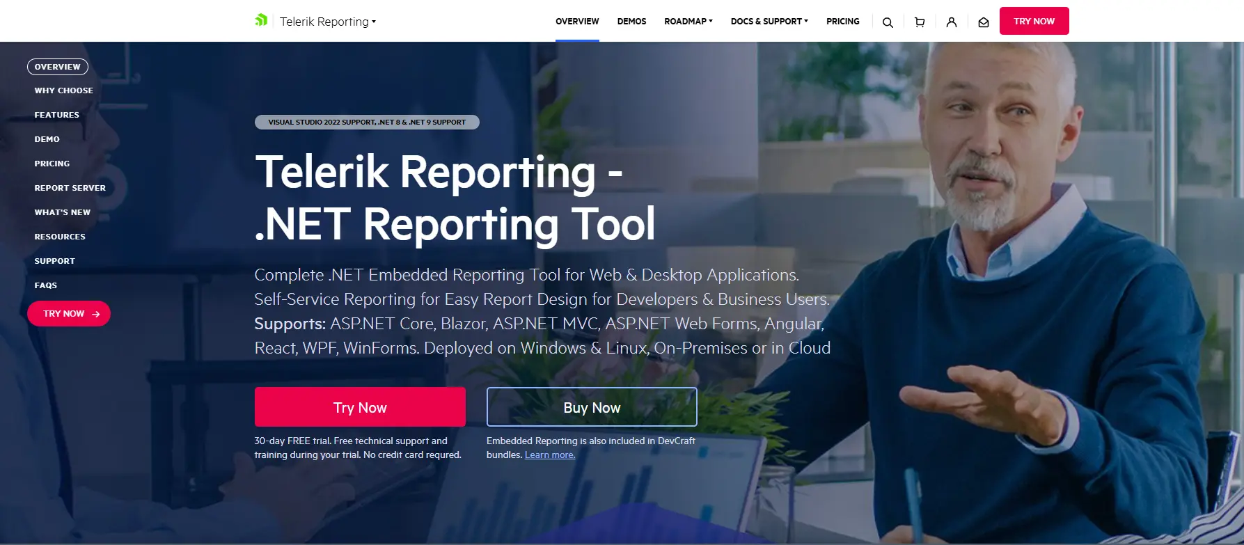 Telerik Reporting website